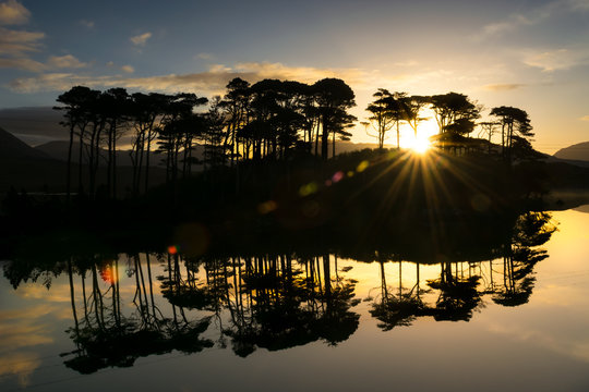 Pine Island Derryclare Lough Connemara