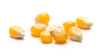 Raw corn kernels isolated on white background, macro