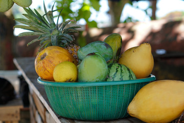 Yellow coconuts are sold on the market in Asia. Sale of vegetarian fruits outdoors. Stock photo