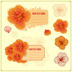Set of invitation and wedding card design elements. Floral decorative poster, greeting card. Vintage elegant design.