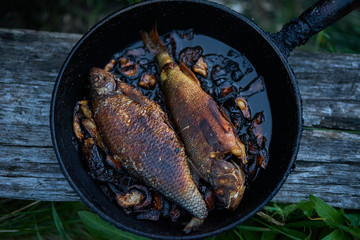 two fried lake fish with onions in a pan on a wooden bench in nature