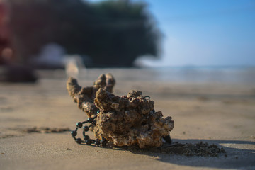 Beautiful bracelet on a fragment of a reef and coral by the ocean or sea. Stock photo background