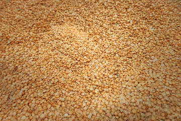 Different cereals in bags on the market or supermarket. Stock photo background