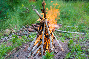 View of bonfire with bright orange flames and heap of firewoods at camp in green forest