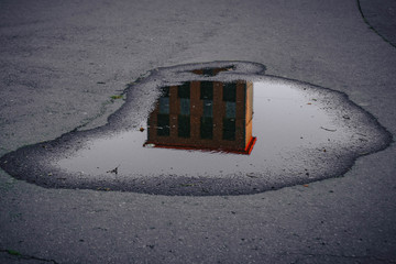 palm under a cloudy sky reflected in a urban puddle.