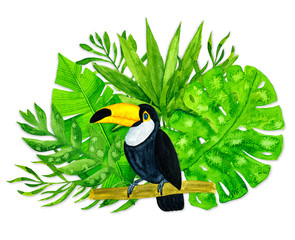 Watercolor tropical leaves and toucan on white background