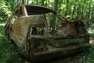 Old rusty car body in the summer forest