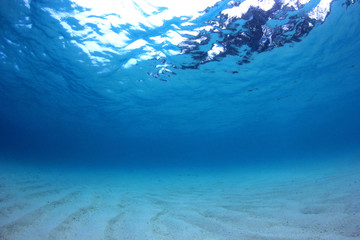 Fototapeta na wymiar Underwater photo background, blue sea and sandy bottom