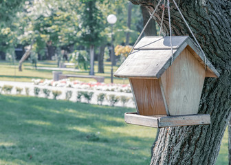 Wooden feeder with a roof for birds and squirrels hanging on a tree branch on a rope in summer city park. Feeding animals.