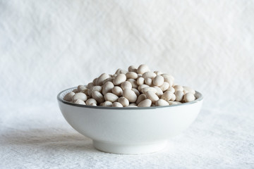 Navy Beans in a Bowl
