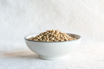 Sorghum Seeds in a Bowl