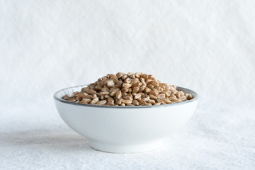 Wheat Berries in a Bowl