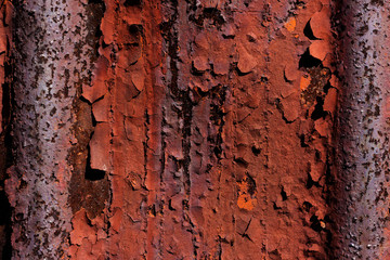rusty iron sheets with peeling paint