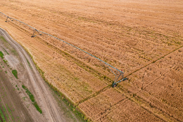 Fototapeta premium Aerial view of irrigation sprinkler in wheat field