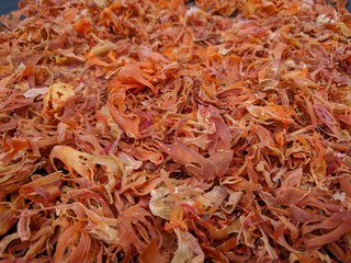 Mace being dried naturally under the sun