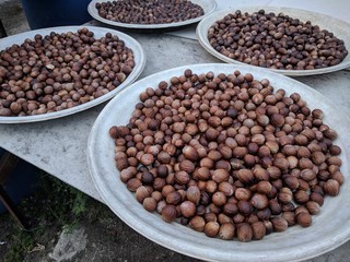 Dark brown nutmeg seeds drying naturally under the sun