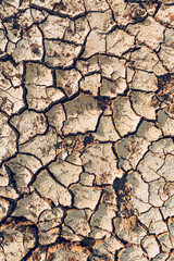 Dry desert land texture as background