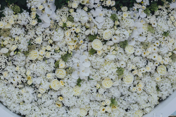 Background of white flowers