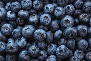 Fresh blueberries background