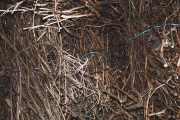 Background with wood pattern. Old and natural style.