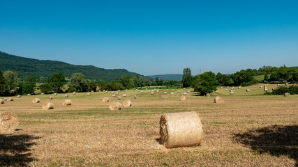 Harvested field with straw bales in summer