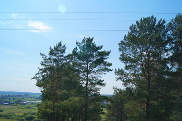 trees against the blue sky and glade