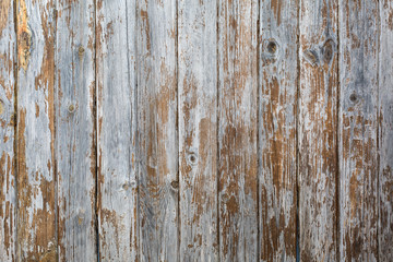 Wood background texture. Raw. Natural.