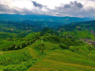 stack rice farms in Guilin, China
