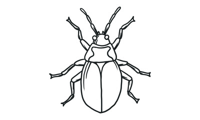 Vector lineart illustration of beetles on white background, hand drawn Japanese horned beetle bug insect sketch