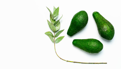 Ripe fresh avocado, eucalyptus twigs isolated on white background with shadow top view Flat lay copy space. Fruits Healthy food concept, diet, healthy lifestyle, organic avocado