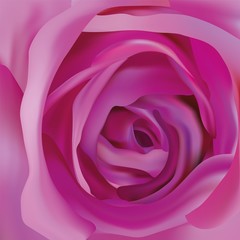 Obraz na płótnie Canvas Center beautiful purple rose. Abstract rose. Purple rose close up. Beautiful flower. 3d realistic rose.