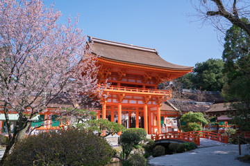 京都　上賀茂神社の楼門と桜　