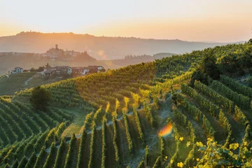 Fotobehang Regio Langhe, wijngaarden bij zonsondergang. Serralunga d& 39 Alba, Piemonte, Italië © ronnybas