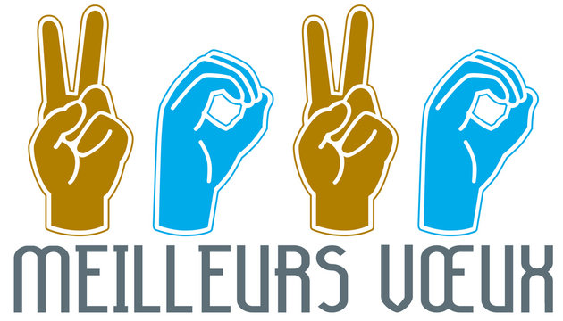 V&oelig;ux 2020 mains langage des sourd 3