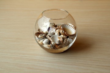 Vase with shells