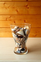 Vase with shells