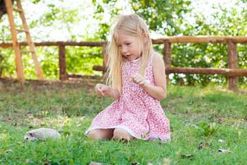 happy little girl playing with her pet African pygmy hedgehog. Children and pets. three little girls sit on the grass and play with a wild animal. Preschooler watching animals outdoors in summer. 