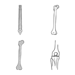 Vector design of medicine and clinic sign. Collection of medicine and medical stock symbol for web.