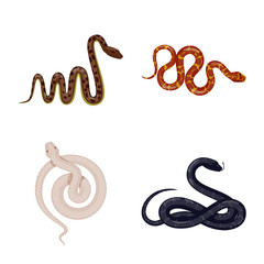 Isolated object of poison and evil logo. Collection of poison and bite vector icon for stock.