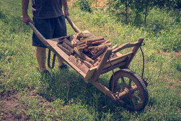 Firewood on the old wooden wheelbarrow