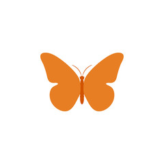 Butterfly. Butterfly vector icon. Butterfly isolated in flat design