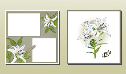Square postcard and poster with white lily flowers.