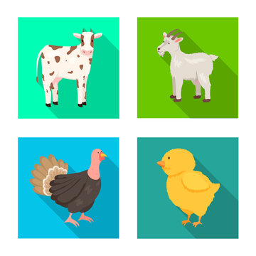 Vector illustration of breeding and kitchen logo. Collection of breeding and organic stock vector illustration.