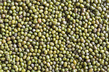 Mung bean seeds have long been used as food for human beings, green beans, seeds that are placed in a white plate, placed on a table with tears and tablecloths....