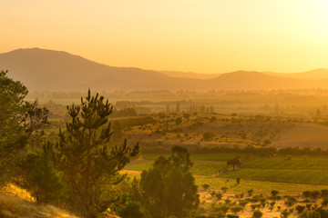Dawn in the crop fields and farms at Region del Maule in Central Chile