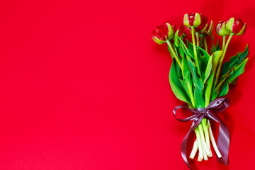 red tulips on a red background free space for your text