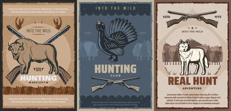 Wolf, Buffalo, Grouse Hunting Animals, Hunter Guns