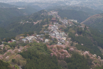 吉野山