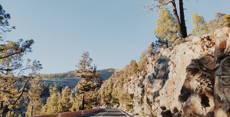 central park in winter