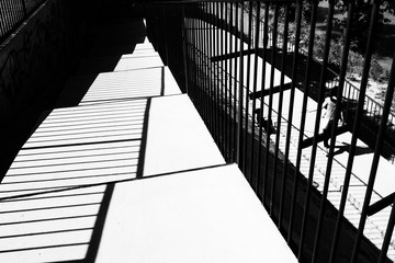 Lights and shadows on staircase 1